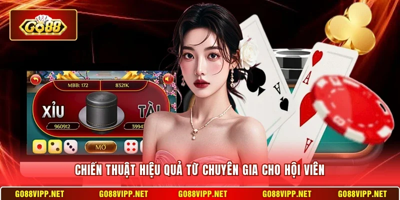 Chiến thuật hiệu quả từ chuyên gia cho hội viên