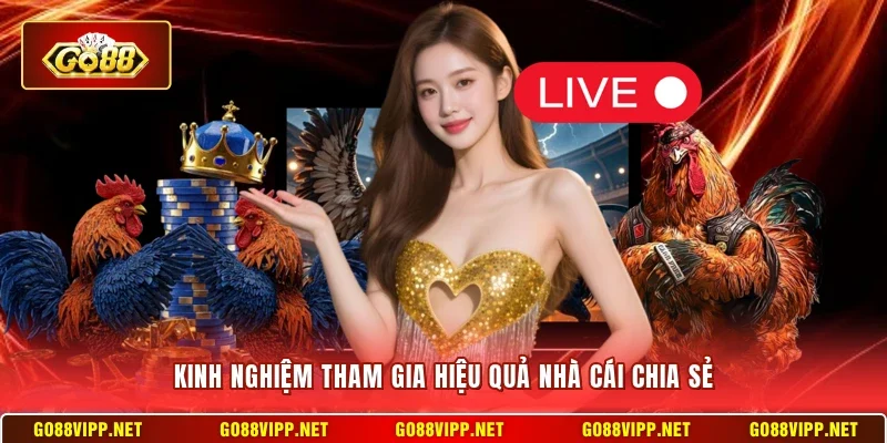 Kinh nghiệm tham gia hiệu quả nhà cái chia sẻ